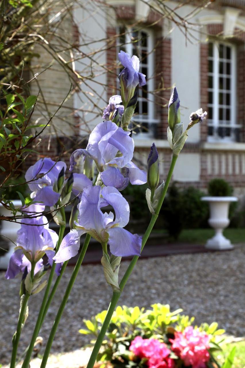 Bed and Breakfast Manoir Le Mesnil Saint-Martin-aux-Chartrains Exterior foto